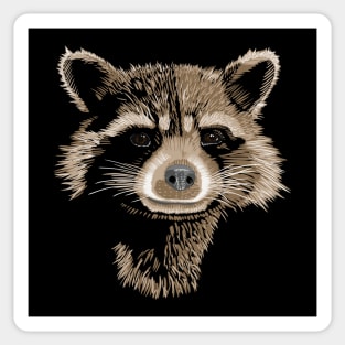 Rocket Raccoon Sticker